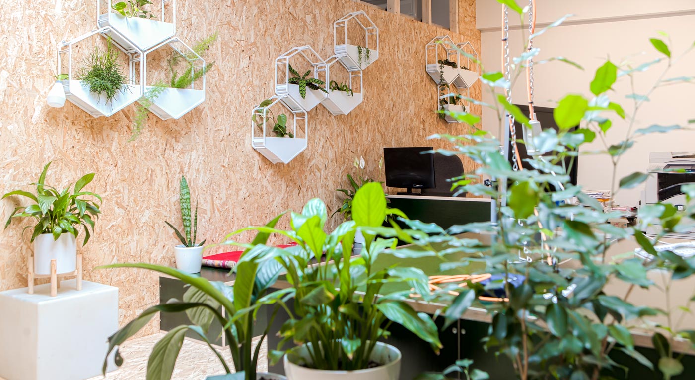 kindred-coworking-yarraville-footscray-02